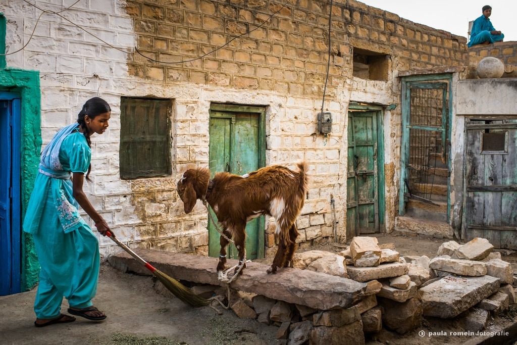 2018-India-5365.jpg