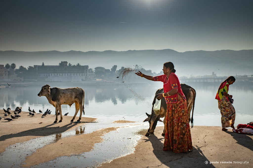2018-India-2713.jpg