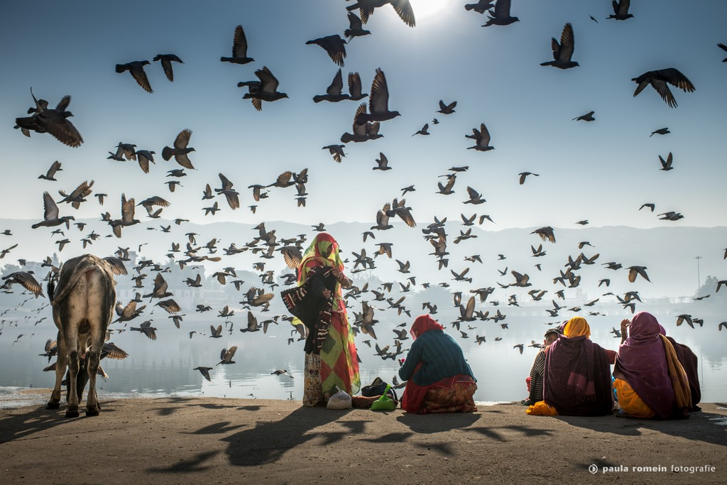 2018-India-2761.jpg
