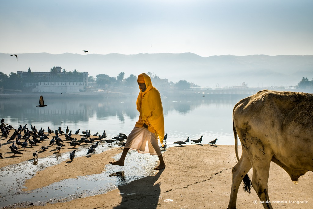 2018-India-2790-bewerkt.jpg