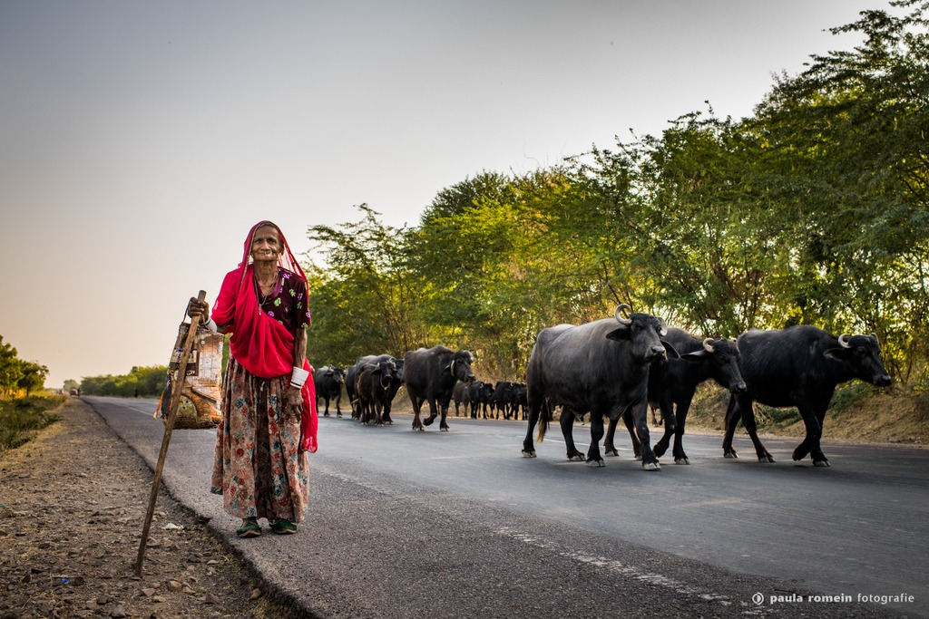 2018-India-4442.jpg