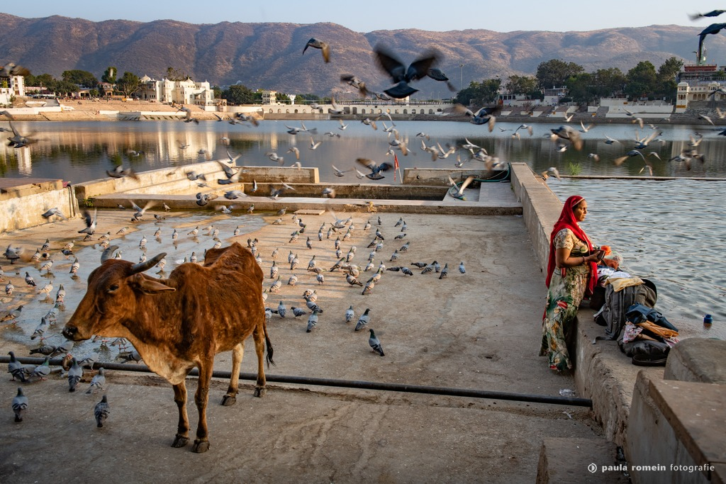 2018-India-3037.jpg