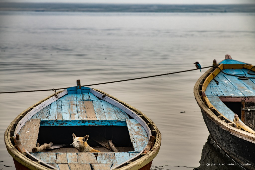 2018-India-0731.jpg