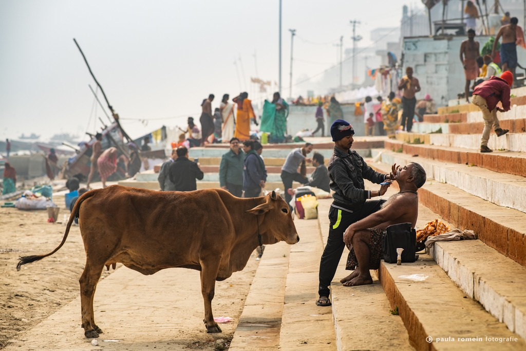 2018-India-1014.jpg