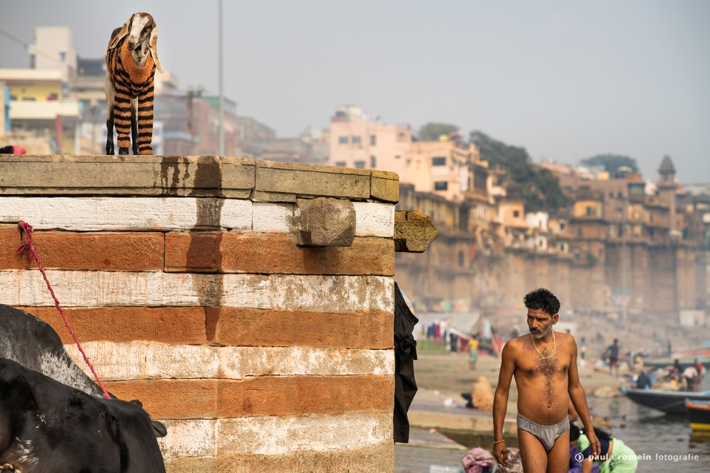 2018-India-1073.jpg