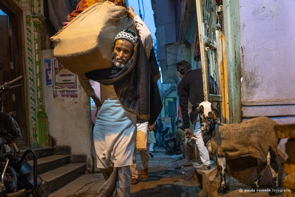 2018-India-1336.jpg