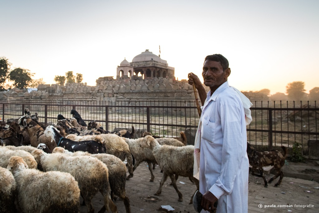 2018-India-1690.jpg