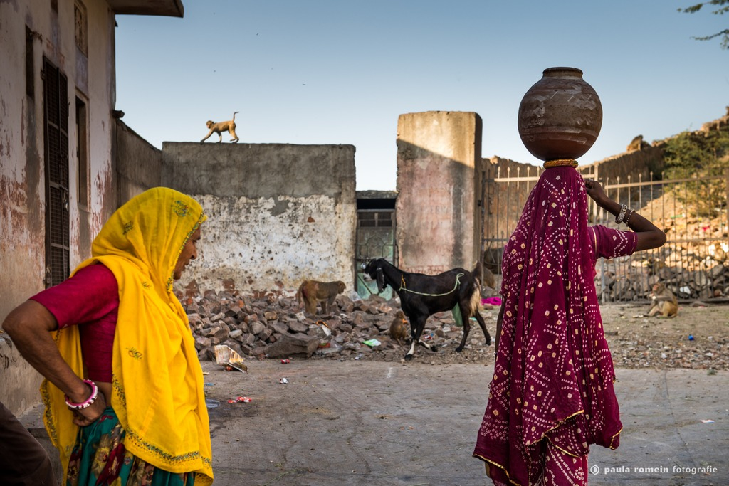 2018-India-1694.jpg