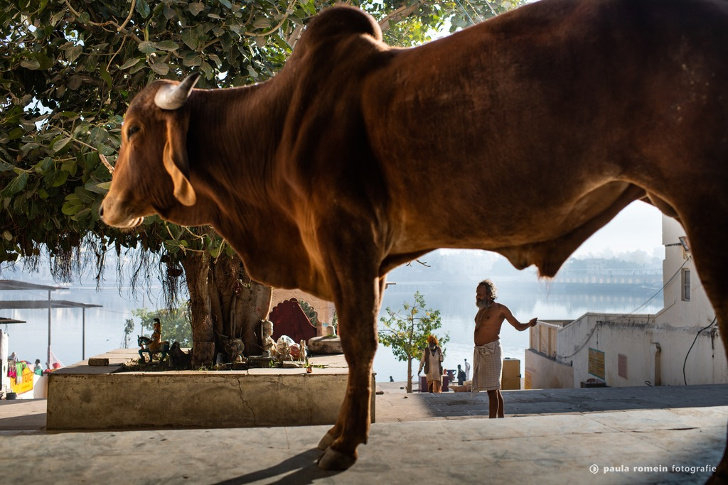 2018-India-2144.jpg