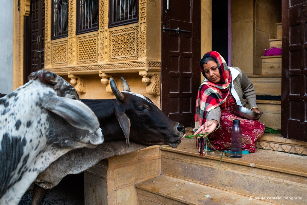 2018-India-5842.jpg